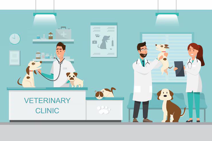 Beginner’s Guide to Veterinary Clinics: Information, Facts, and Resources