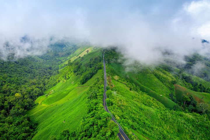 Explore the Top 8 Hill Stations Near Chennai: Nature Getaways & Travel Tips
