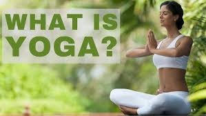 Explore the Power of Yoga Classes: A Beginner’s Guide to Wellness