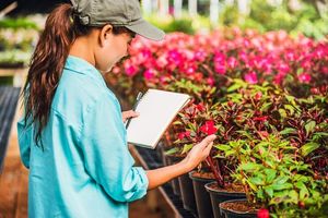 Plants and Flowers Information Guide: Details, Suggestions, and Insights